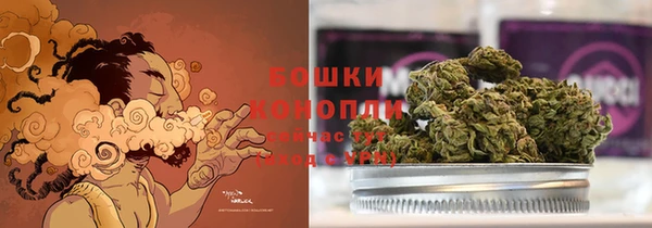 индика Белоозёрский
