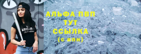 индика Белоозёрский